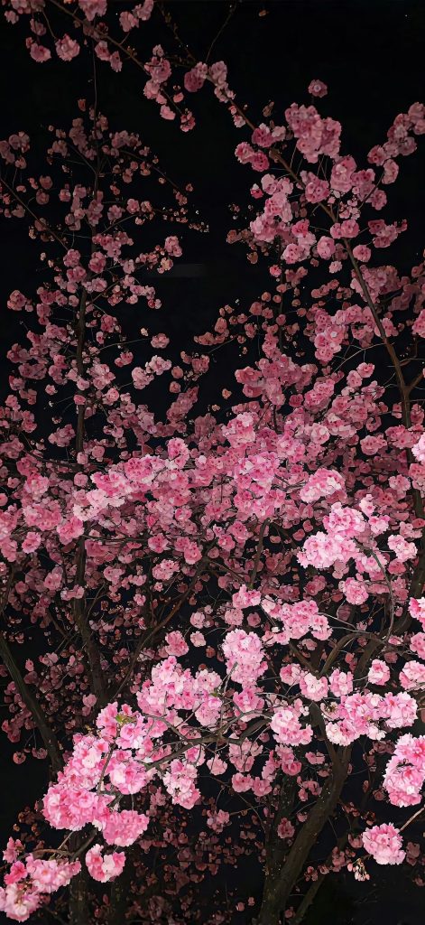 手机壁纸第②期- iOS26系统3D壁纸-彤姐小阁博客网