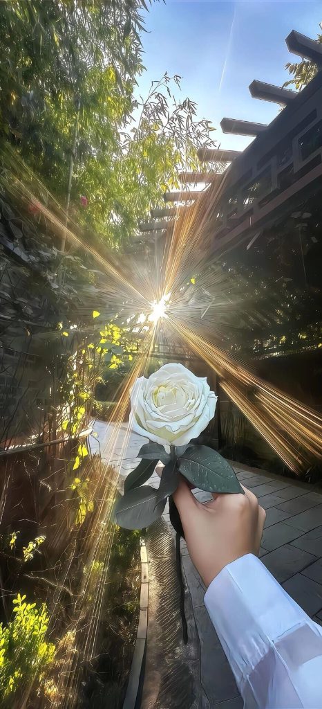 手机壁纸第②期- iOS26系统3D壁纸-彤姐小阁博客网